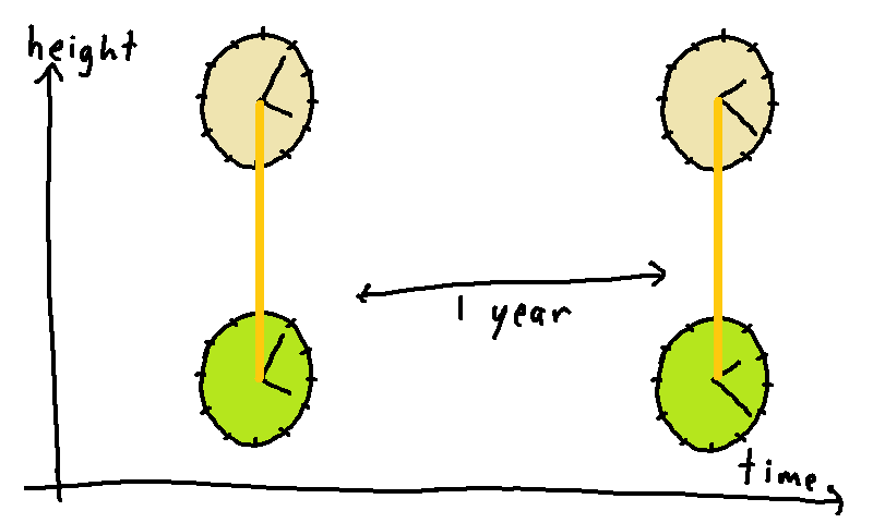 two_clocks_one_year